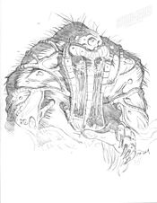 Man-Thing