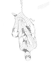 Spiderman
